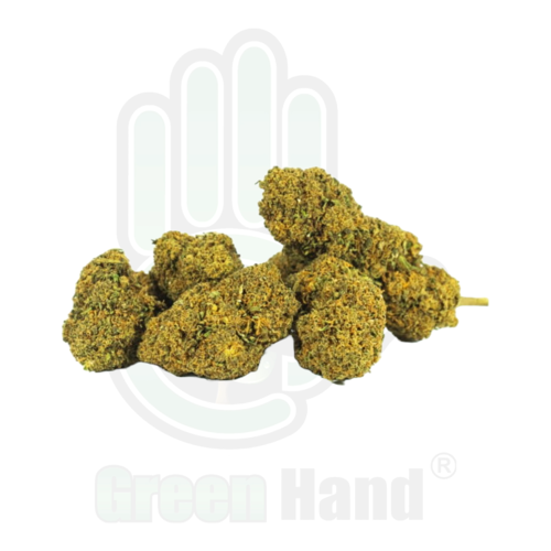 CBD FLORES ONLY CBD MANGO HAZE 25 g